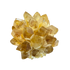 Freigestellter Citrin-Drusenball in kräftigem, warmem Gelbton. Die glänzenden, spitz zulaufenden Kristalle sind blütenförmig angeordnet und funkeln in verschiedenen Facetten. Der Stein symbolisiert Lebensfreude, Klarheit und Fülle – ein energetisches Highlight für Wohnräume, Altäre oder Meditationsplätze.