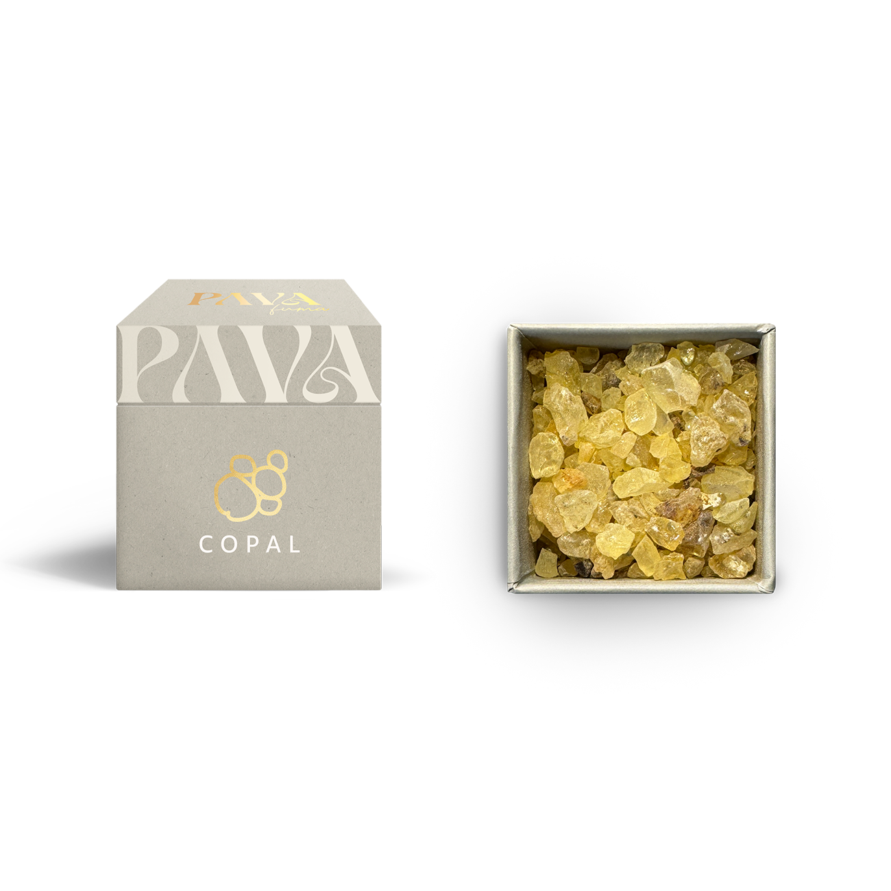 Copal von PAVAFUMA – links die stilvolle, helle Box mit elegantem goldenen Logo und der Aufschrift „COPAL“, rechts daneben die geöffnete Verpackung von oben, die mit goldgelben bis bernsteinfarbenen Copal-Harzstücken gefüllt ist. Der klare, warme Duft dieses Naturharzes stammt aus Mittel- und Südamerika und wird traditionell für energetische Reinigungsrituale verwendet.