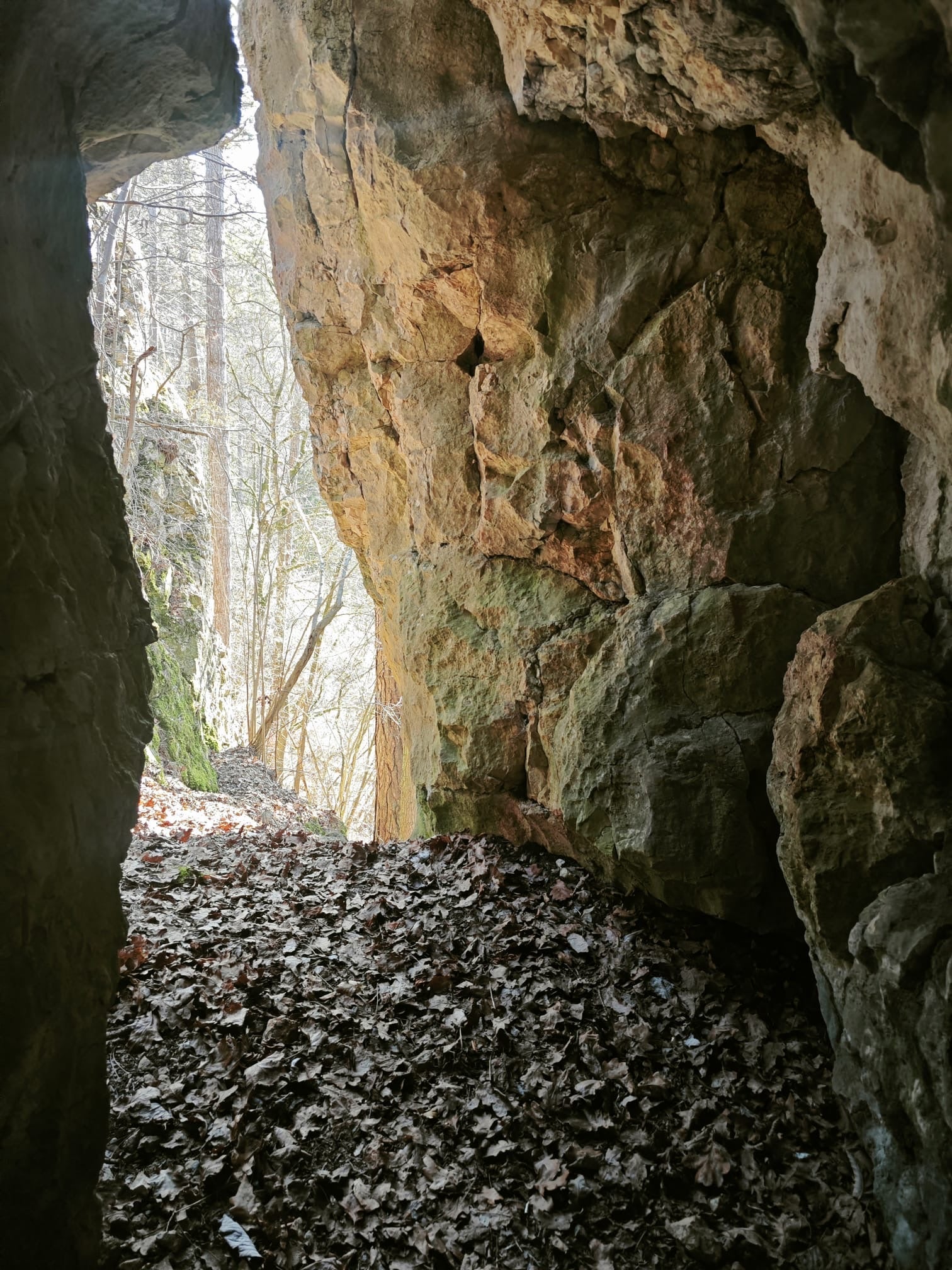 Blick aus einer naturbelassenen Höhle ins Licht des Waldes – durch den steinernen Durchbruch fällt sanfte Sonne auf Laub und Fels. Ein Ort der Stille, Rückverbindung und Erdung. Perfekt für Rituale, Meditation oder einen Moment des bewussten Innehaltens.