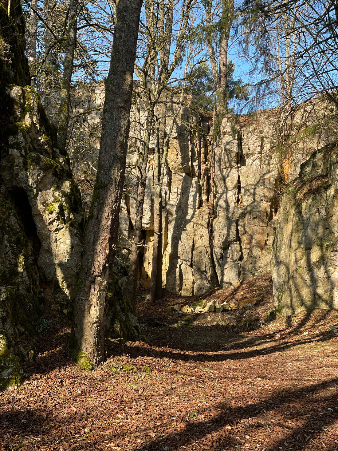 Sonnendurchflutete Felswand in einem stillen Wald – ein verwunschener Ort voller Kraft und Geschichte. Die Schatten der Bäume tanzen über moosbewachsene Steine. Perfekter Rückzugsort für Rituale, Naturverbindung und Erdung.