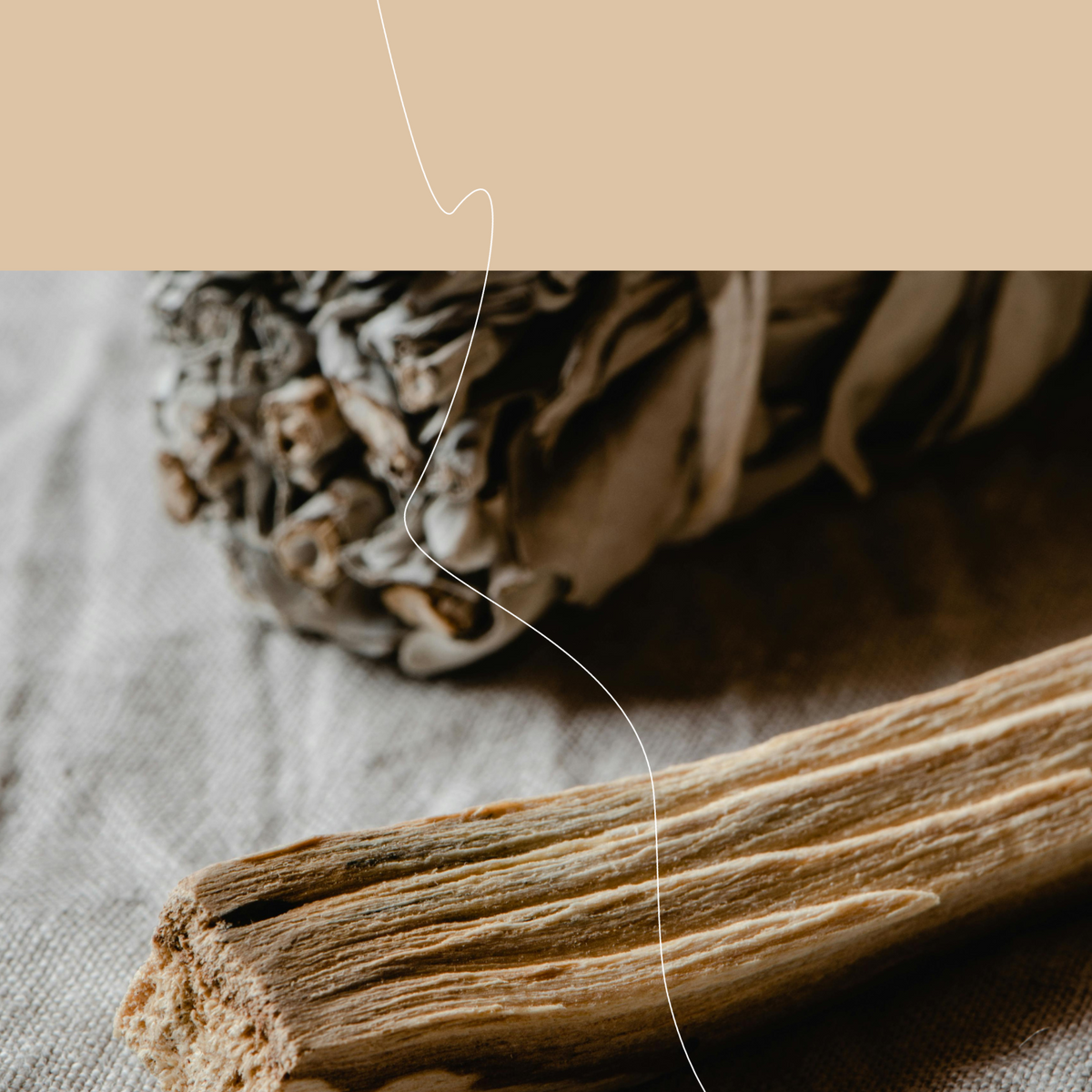 Nahaufnahme von Palo Santo Holz und einem weißen Salbeibündel auf Leinentuch – zentrale Elemente für energetische Hausreinigungen. Symbolbild für unseren Workshop zur Raumklärung mit Rauch und Ritual, bei dem wir lernen, wie du dein Zuhause mit natürlichen Mitteln in einen klaren, geschützten Ort verwandelst.