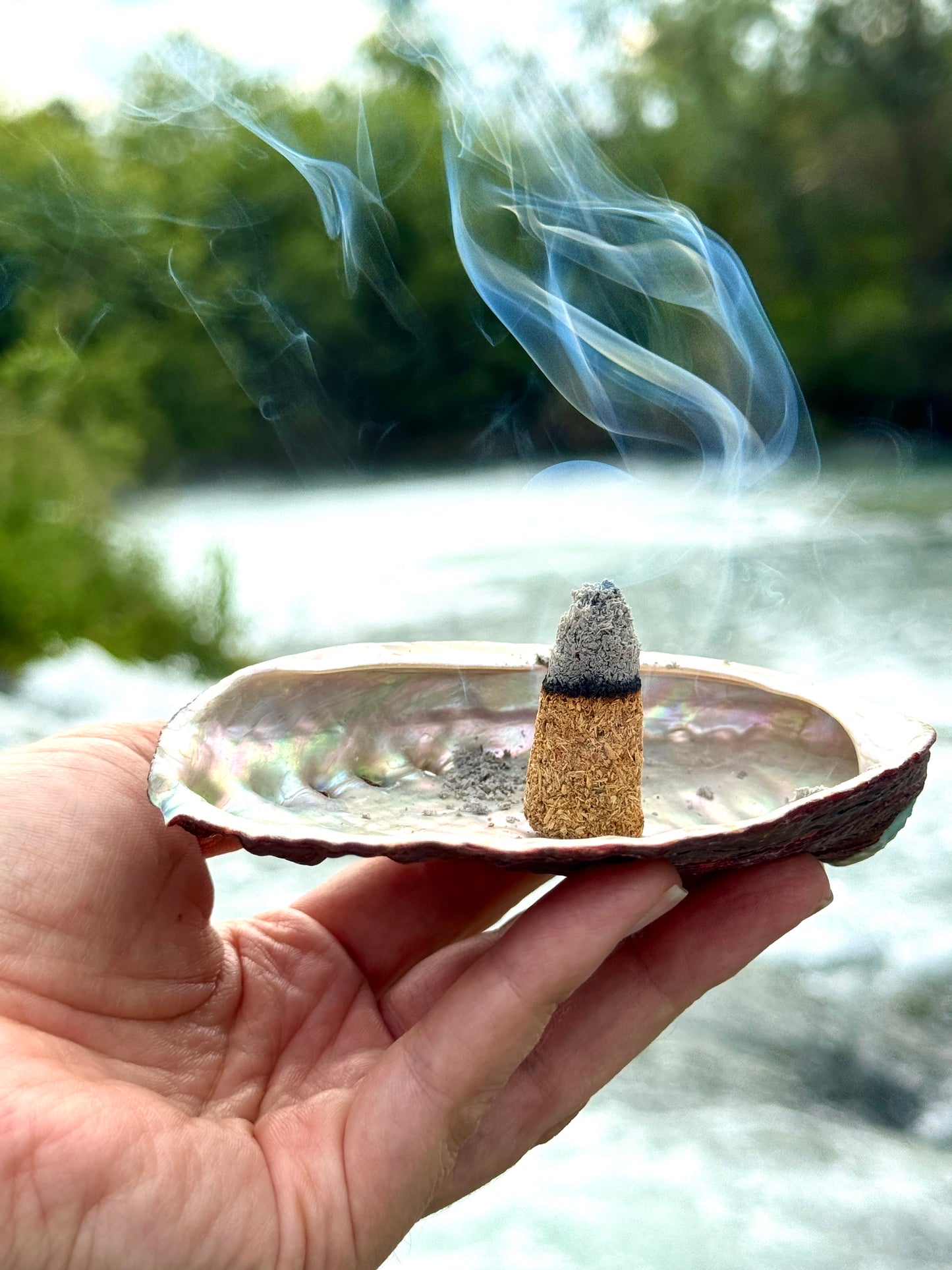 Palo Santo Räucherkegel zur Reinigung und Balance - rauchender Kegel in einer Abalone