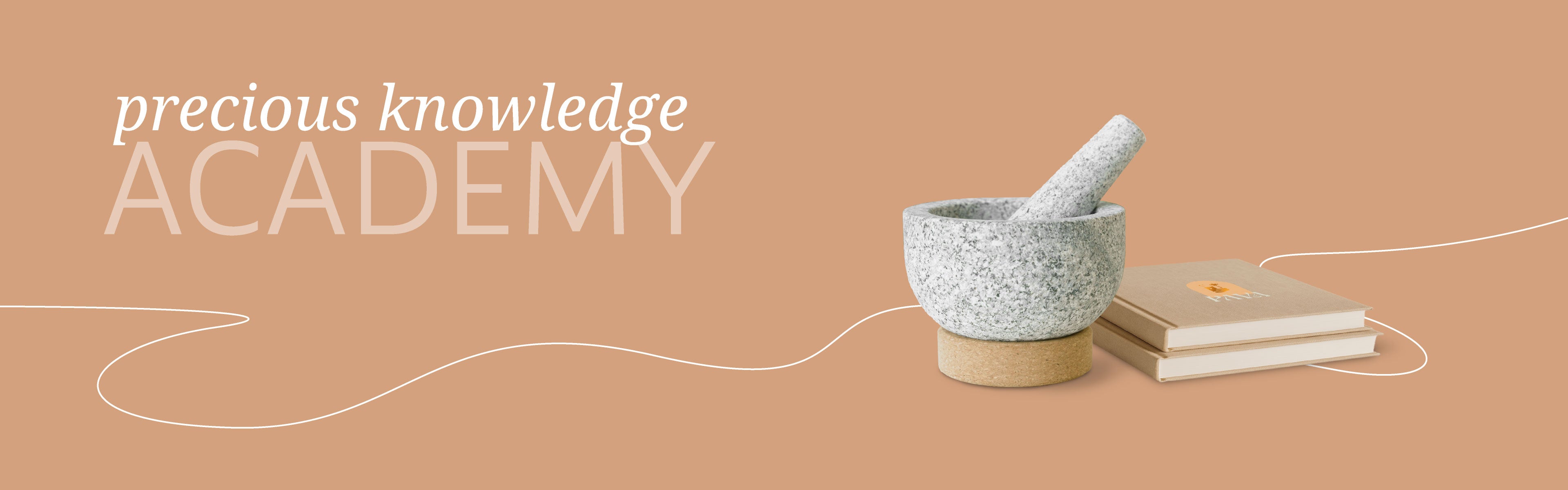 Header-Visual zur PAVA FUMA Academy: Links steht der Claim „precious knowledge ACADEMY“, rechts daneben ein grauer Naturstein-Mörser mit Stößel sowie zwei beige gebundene Notizbücher mit Logo. Der Hintergrund in warmem Terrakotta-Ton wird von einer fließenden weißen Linie durchzogen – Symbol für Wissen, Verbindung und natürliche Lernprozesse. Das Bild steht für ganzheitliches Pflanzenwissen, achtsame Weiterbildung und stilvoll gestaltete Lernräume.