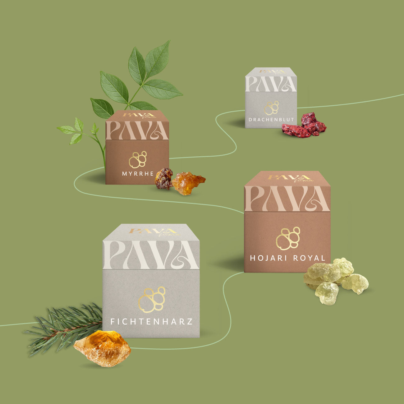 Produktvisual mit vier hochwertigen Baumharzen von PAVA FUMA: Myrrhe, Drachenblut, Fichtenharz und Hojari Royal – stilvoll inszeniert in Designboxen mit goldgeprägtem Logo. Die Harze liegen jeweils als natürliche Stücke neben den Verpackungen, ergänzt durch botanische Elemente wie Blätter oder Fichtenzweige. Ein moosgrüner Hintergrund mit fließender Linie verbindet alle Sorten visuell – ein Bild, das Reinheit, Herkunft und die kraftvolle Wirkung traditioneller Räucherstoffe unterstreicht.