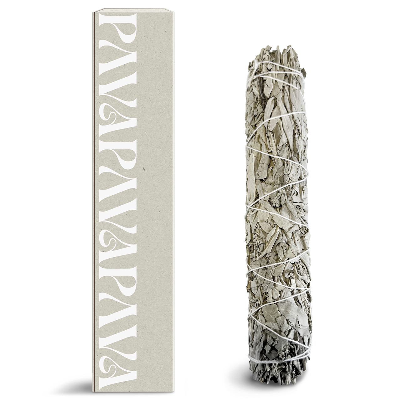 Großes weißes Salbeibündel von PAVAFUMA – dargestellt mit hochwertiger Verpackung im minimalistischen Design. Das kunstvoll gebundene Bündel aus getrocknetem weißen Salbei eignet sich ideal zur energetischen Reinigung von Räumen und zur Unterstützung spiritueller Rituale und Meditationen.