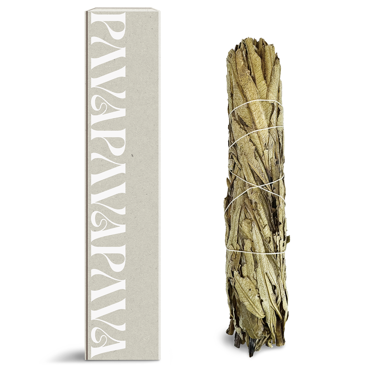Yerba Santa Räucherbündel von PAVAFUMA – rechts ein sorgfältig gebundenes Bündel aus getrockneten Yerba Santa Blättern, traditionell geschnürt und naturbelassen. Links daneben eine hochwertige, schlichte Verpackung in hellem Naturton mit vertikalem, stilisiertem PAVAFUMA-Schriftzug. Ideal für energetische Hausreinigungen, Rituale und Meditation – der warme, süßlich-kräuterige Duft fördert Klarheit, Schutz und Herzöffnung.