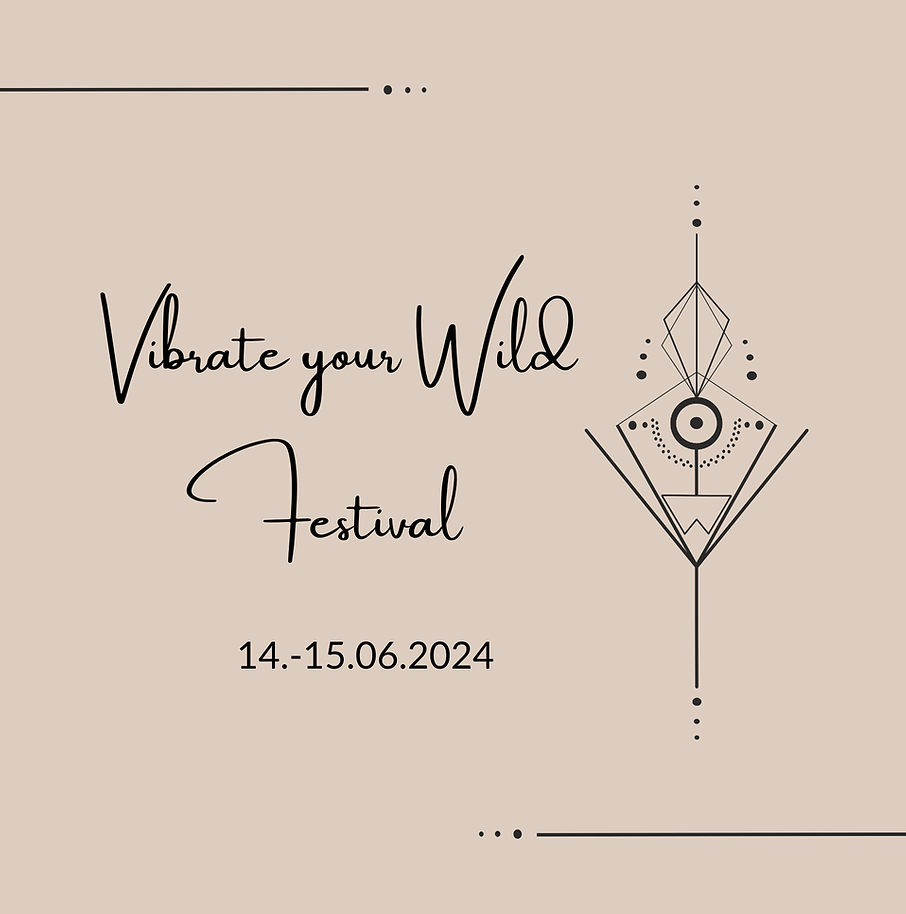 PAVA @Vibrate your Wild Festival in Gundelfingen