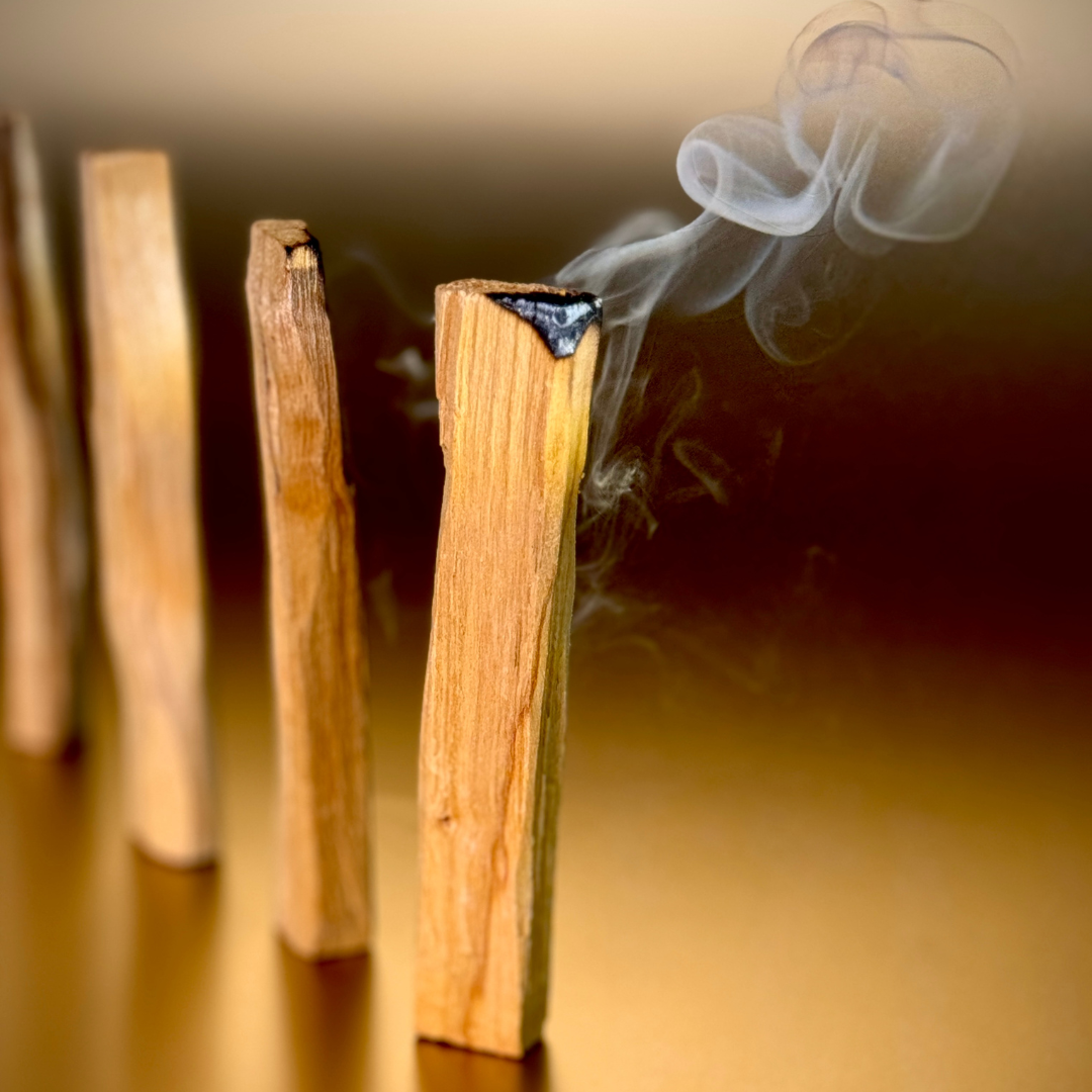 PALO SANTO – WAS DU ÜBER DAS „HEILIGE HOLZ“ WISSEN SOLLTEST
