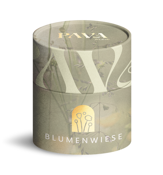 BLUMENWIESE - PAVA FUMA - create connection