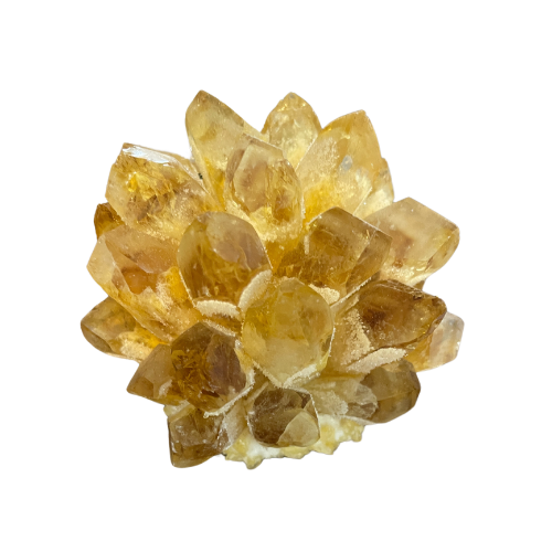Freigestellter Citrin-Drusenball in kräftigem, warmem Gelbton. Die glänzenden, spitz zulaufenden Kristalle sind blütenförmig angeordnet und funkeln in verschiedenen Facetten. Der Stein symbolisiert Lebensfreude, Klarheit und Fülle – ein energetisches Highlight für Wohnräume, Altäre oder Meditationsplätze.