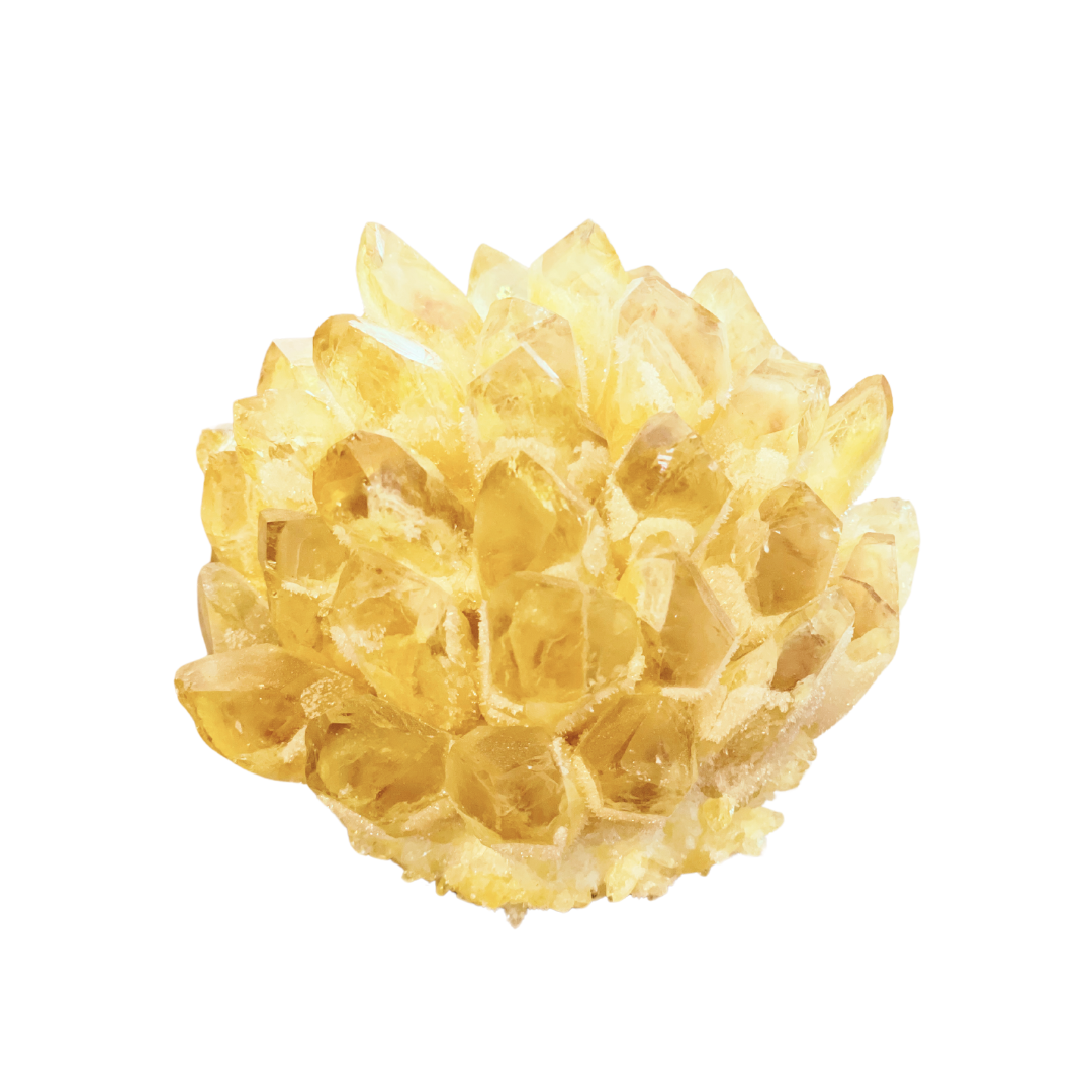 Freigestellter Citrin-Drusenball in kräftigem, warmem Gelbton. Die glänzenden, spitz zulaufenden Kristalle sind blütenförmig angeordnet und funkeln in verschiedenen Facetten. Der Stein symbolisiert Lebensfreude, Klarheit und Fülle – ein energetisches Highlight für Wohnräume, Altäre oder Meditationsplätze.