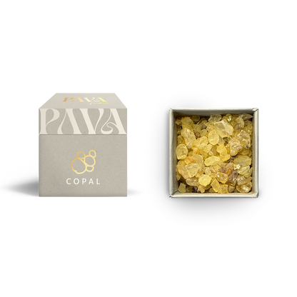 Copal von PAVAFUMA – links die stilvolle, helle Box mit elegantem goldenen Logo und der Aufschrift „COPAL“, rechts daneben die geöffnete Verpackung von oben, die mit goldgelben bis bernsteinfarbenen Copal-Harzstücken gefüllt ist. Der klare, warme Duft dieses Naturharzes stammt aus Mittel- und Südamerika und wird traditionell für energetische Reinigungsrituale verwendet.