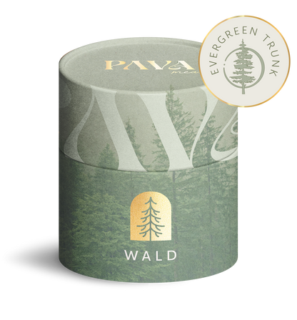 Evergreen Trunk - PAVA FUMA - create connection