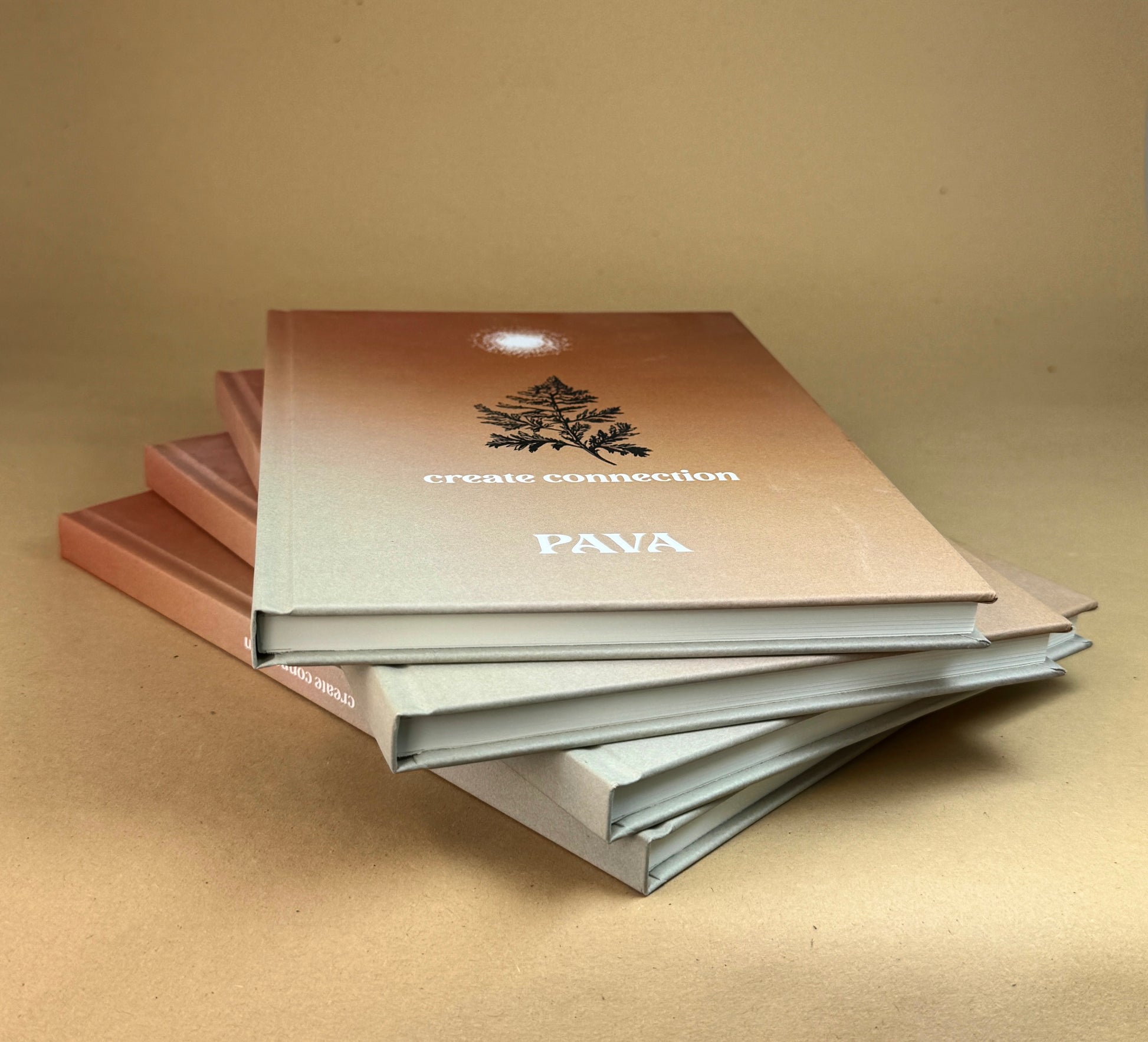 PAVA Notizbuch - PAVA FUMA - create connection