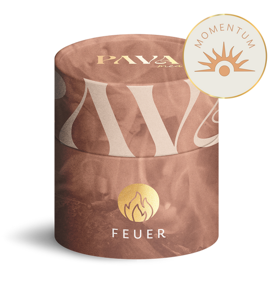 Momentum - PAVA FUMA - create connection