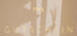 Stimmungsvolles Bild eines digitalen Gutscheins von PAVA FUMA mit beigem Hintergrund und sanften Licht- und Schatteneffekten. Im Zentrum steht in eleganter goldener Typografie das Wort „GUTSCHEIN“. Darüber das Logo von PAVA FUMA in Gold und Weiß. Im Hintergrund ist schemenhaft eine Vase mit Zweigen als Schattenwurf zu erkennen – das Motiv vermittelt eine ruhige, ästhetische Atmosphäre, ideal für ein hochwertiges Geschenk mit Stil.