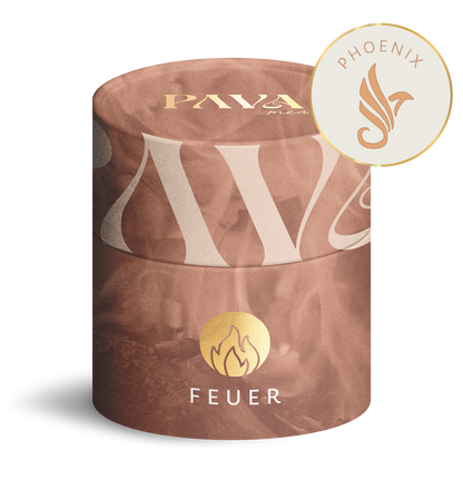 Phoenix - PAVA FUMA - create connection
