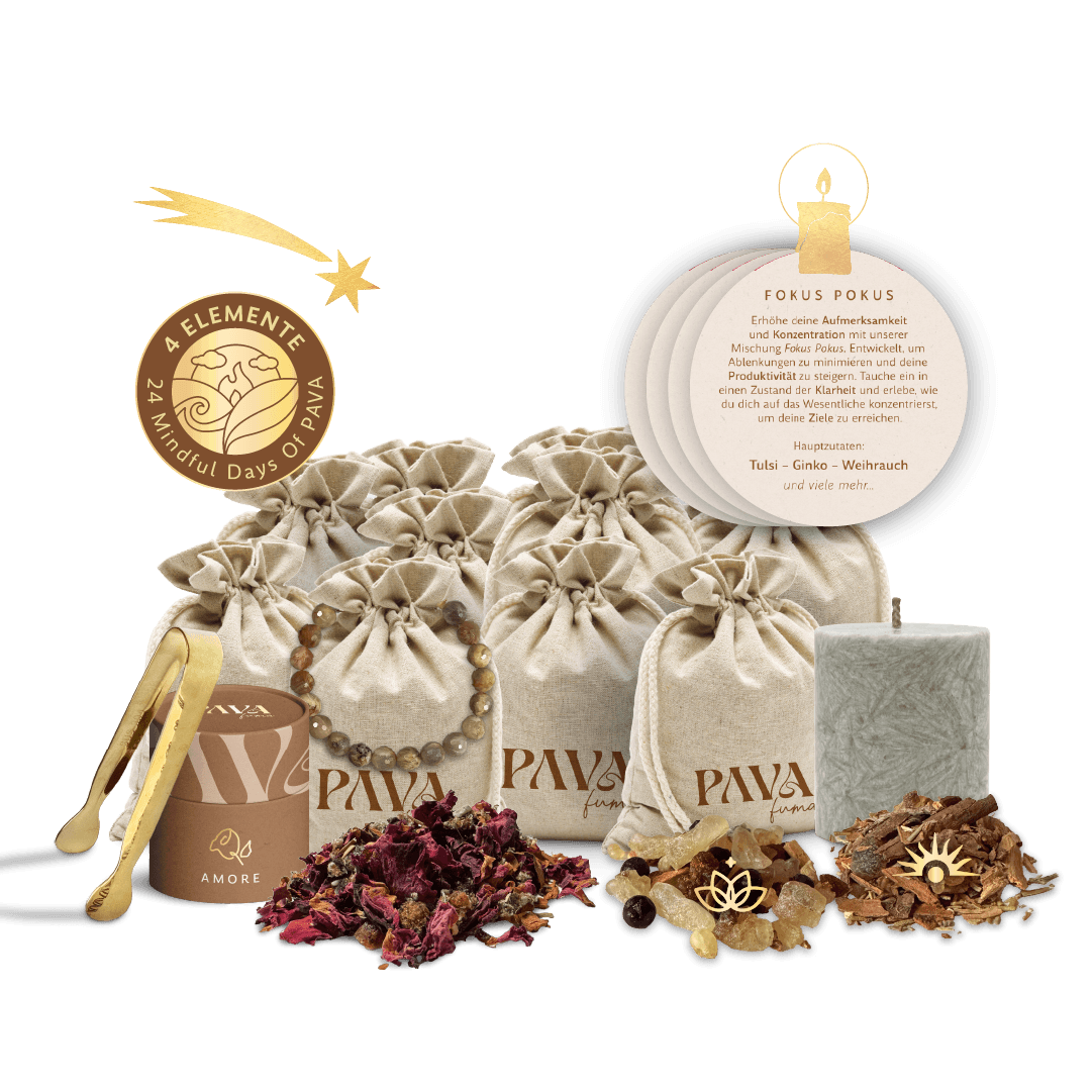 PAVADVENT SET -MINDFUL JOURNEY of PAVA