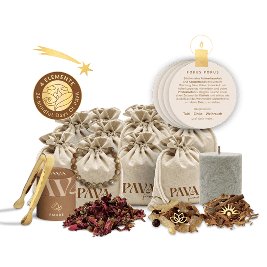 PAVADVENT SET -MINDFUL JOURNEY of PAVA