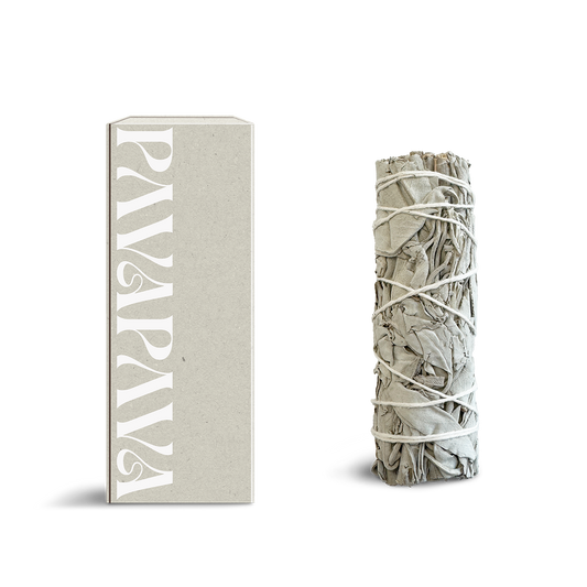 Weißer Salbei Räucherbündel von PAVAFUMA – rechts ein kompakt gebundenes Bündel aus silbrig-weißen Salbeiblättern, traditionell verschnürt für achtsames Räuchern. Links daneben eine minimalistische, hochwertige Verpackung in hellem Naturton mit vertikalem PAVAFUMA-Schriftzug. Ideal für energetische Reinigungsrituale, Hausreinigung und Meditation – der intensive, krautige Duft klärt die Atmosphäre und unterstützt bewusste Übergänge.
