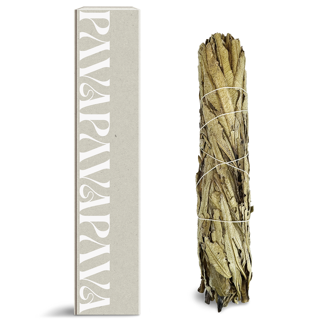 Yerba Santa Räucherbündel von PAVAFUMA – rechts ein sorgfältig gebundenes Bündel aus getrockneten Yerba Santa Blättern, traditionell geschnürt und naturbelassen. Links daneben eine hochwertige, schlichte Verpackung in hellem Naturton mit vertikalem, stilisiertem PAVAFUMA-Schriftzug. Ideal für energetische Hausreinigungen, Rituale und Meditation – der warme, süßlich-kräuterige Duft fördert Klarheit, Schutz und Herzöffnung.